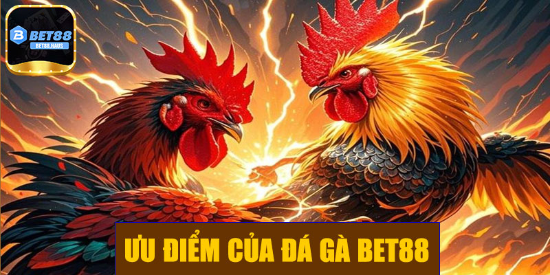 Ưu điểm của đá gà BET88