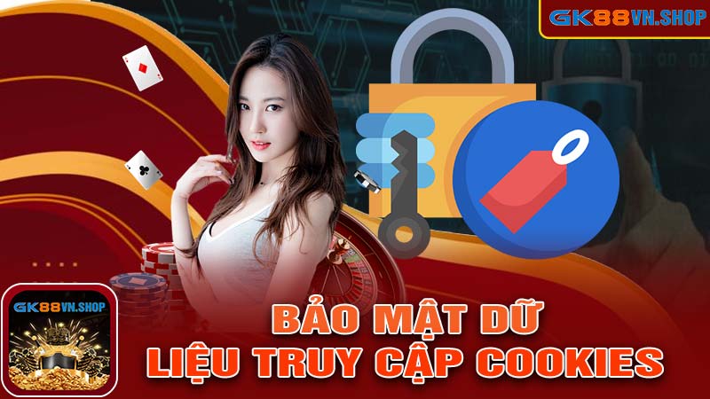 Chính sách bảo mật dữ liệu truy cập Cookies